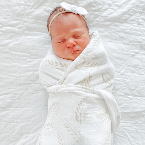 Organic Bamboo Cotton Swaddle Anchor Arrow Baby