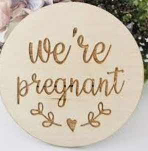 We are pregnant - Timber Tinkers