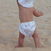 Reusable Swim Nappy & Wet Bag (Sea Shells)