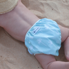 Reusable Swim Nappy & Wet Bag (Sage Palm)