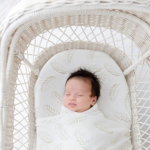 Fitted Jersey Cotton Bassinet sheet/Change Table Cover - Gold Fern
