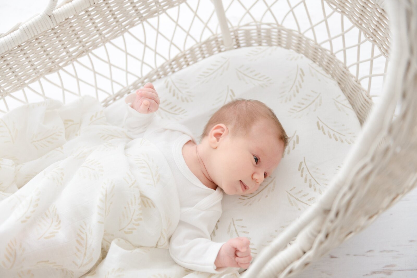 Fitted Jersey Cotton Bassinet sheet/Change Table Cover - Gold Fern