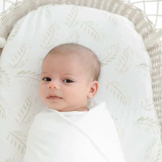 Fitted Jersey Cotton Bassinet sheet/Change Table Cover - Gold Fern