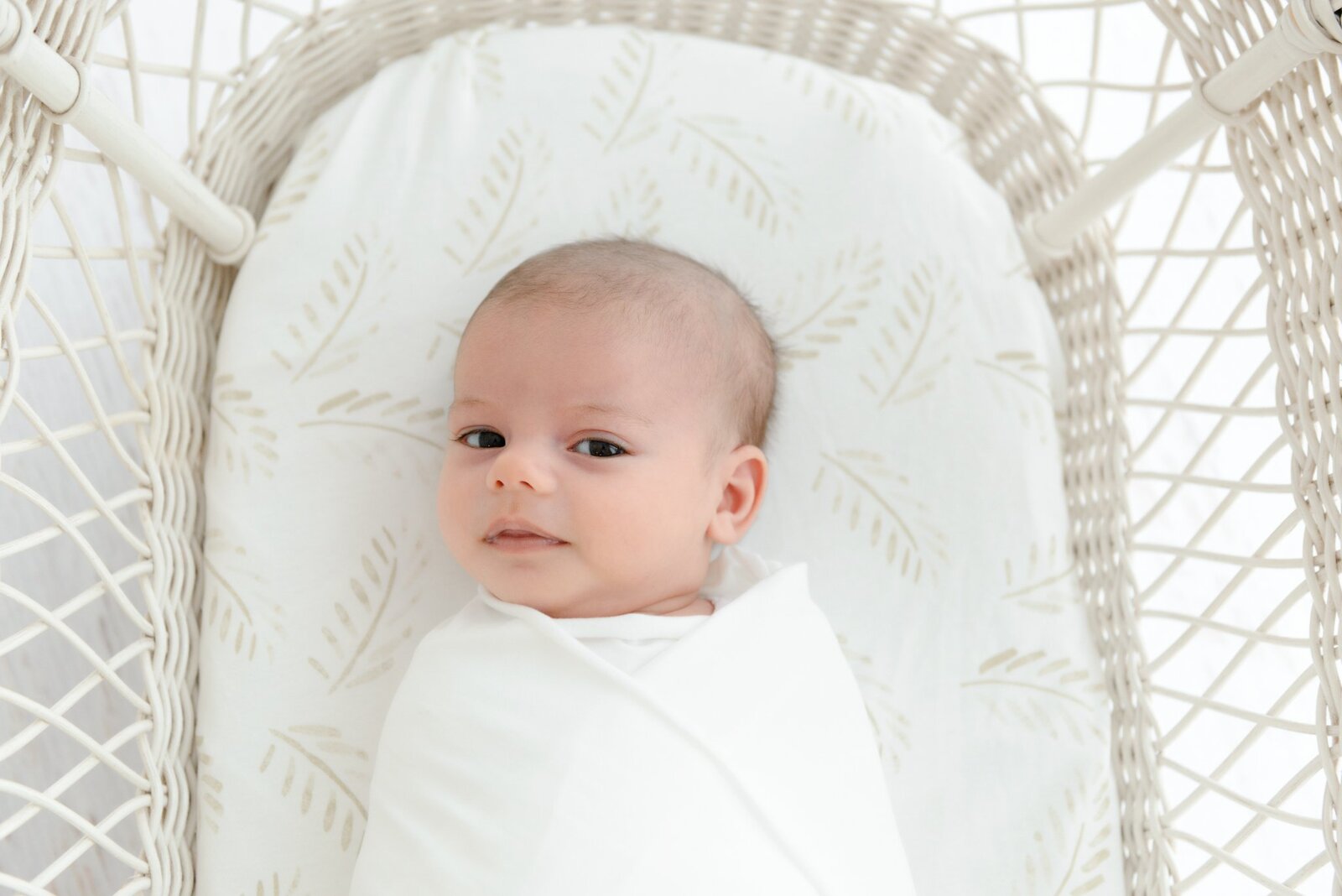 Fitted Jersey Cotton Bassinet sheet/Change Table Cover - Gold Fern
