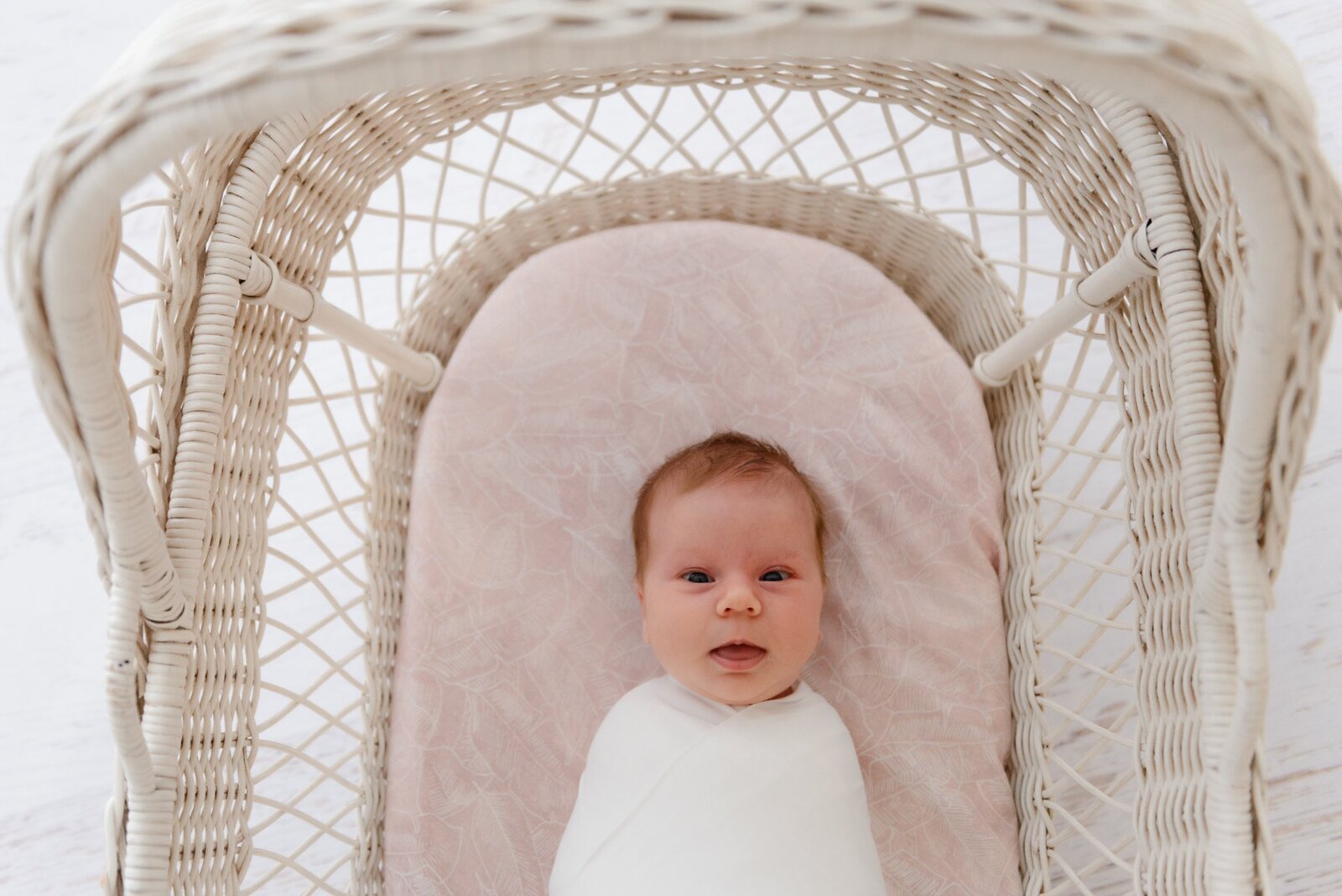 Fitted Jersey Cotton Bassinet Sheet/Change Table Cover - Pink Palm